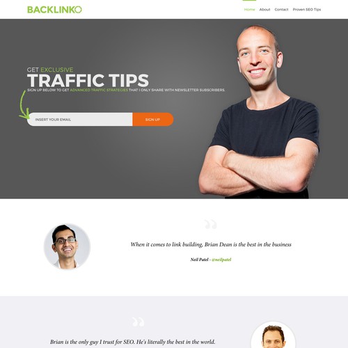 Home page concept for SEO Expert