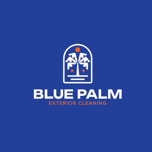Logo design concept for Blue Palm Exterior Cleaning - Arizona