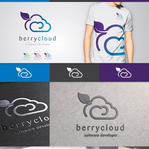 Create a professional brand for berrycloud software