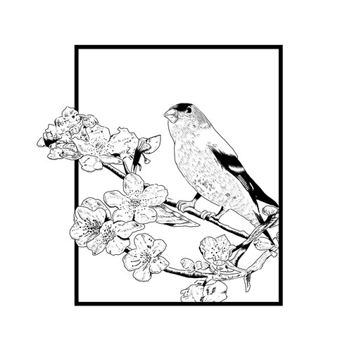 Gold Finch t shirt design