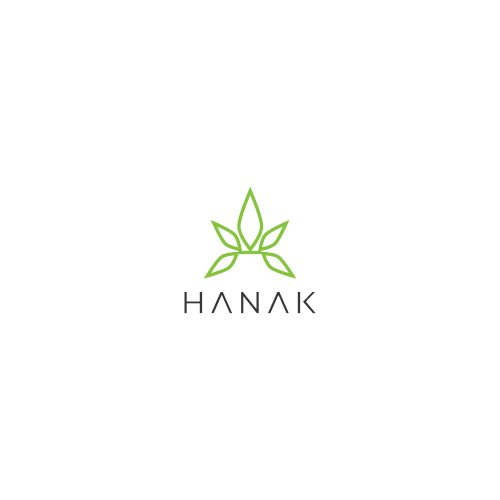 Simple logo HANAK