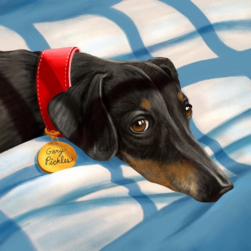 Illustration for a oet dog