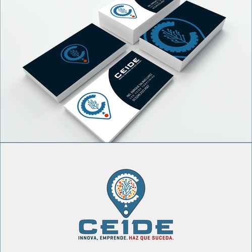 Logo for CEIDE