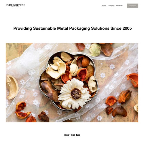 Portfolio Website for Sustainable Packaging in Tins