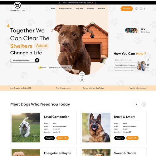 ZOOM RESCUE WEB DESIGN