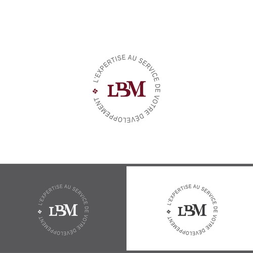 GUARANTEED : Logo design for accounting firm & auditorship