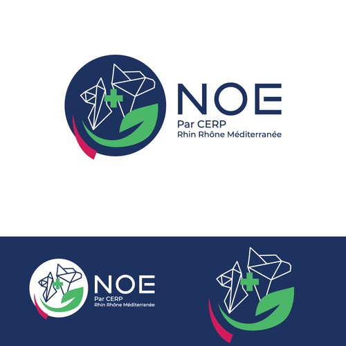 Logo design : Noe veterinarian in pharmacy