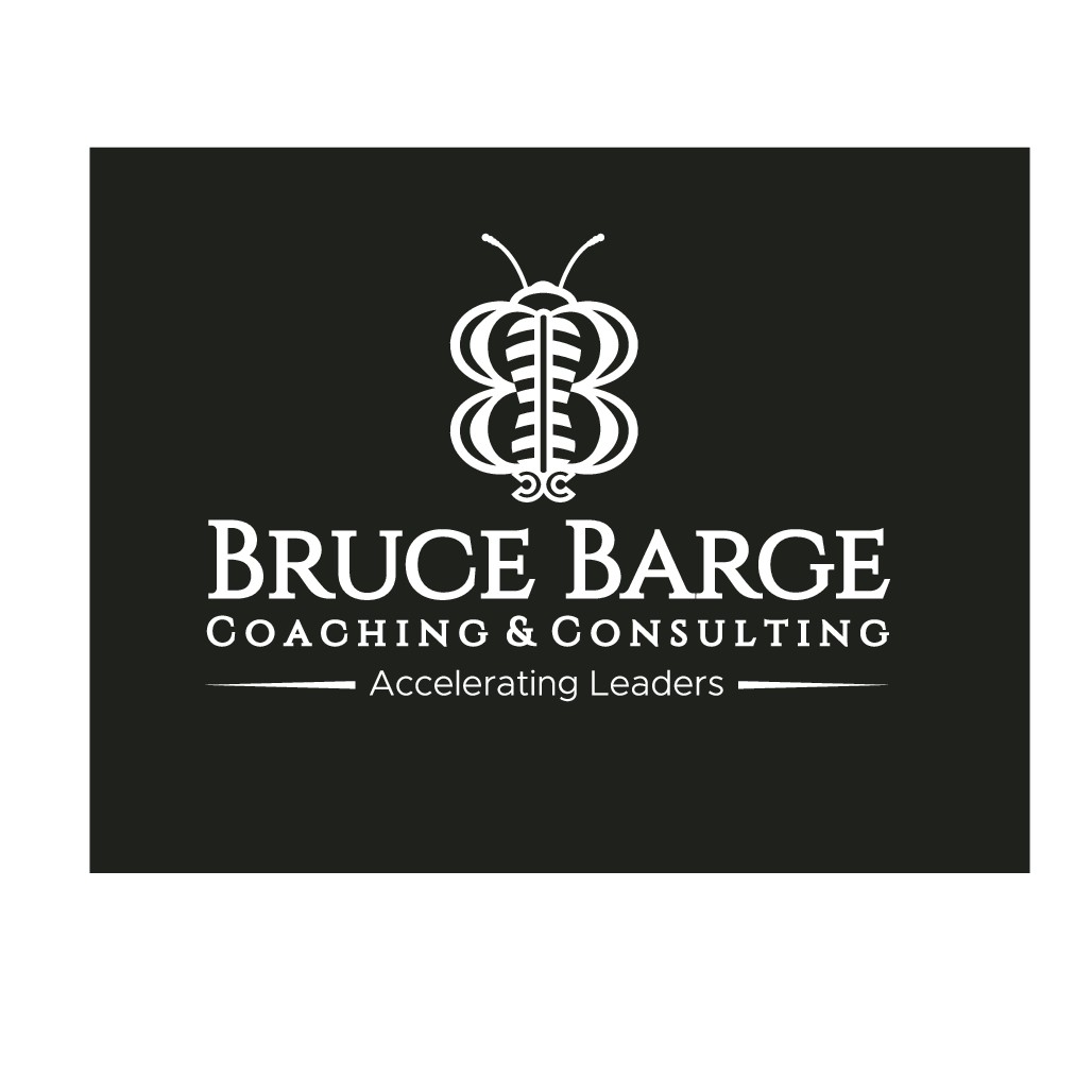 A Honeybee + BB Logo for Bruce Barge Coaching & Consulting, plus Business Cards