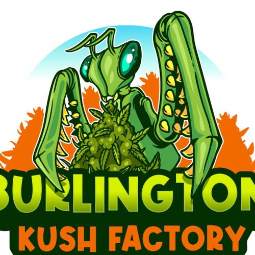 Burlington Kush Factory