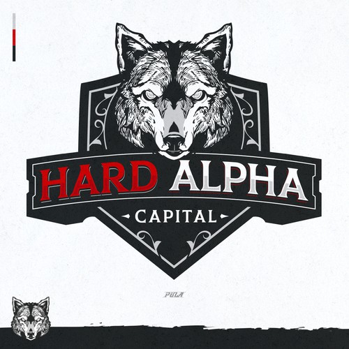 Hard Money Lending Company that needs powerful logo/branding