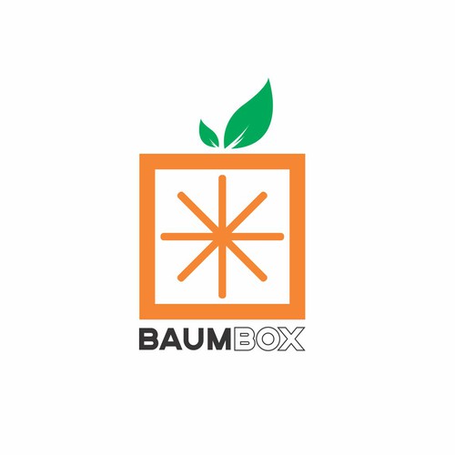 logo concept for BaumBox