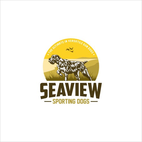 Logo Concept for Seaview