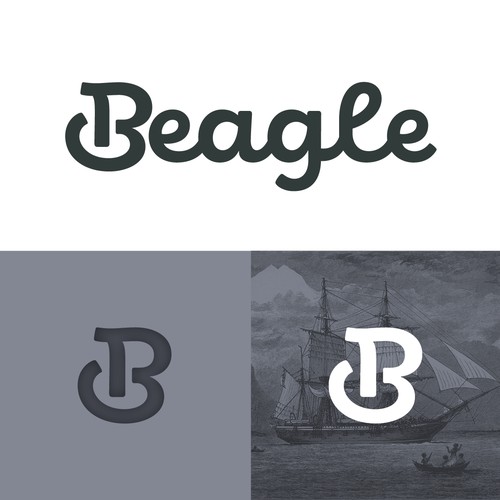 Fun and bold logo 