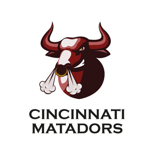  Logo design for a professional sports team