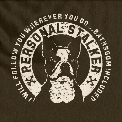 Boston Terrier
