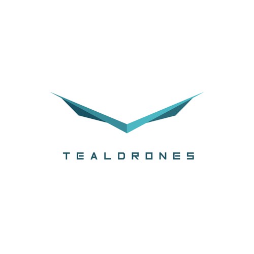 Logo concept for Drone company