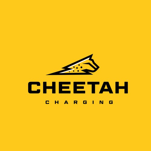 cheetah charging fast thunder