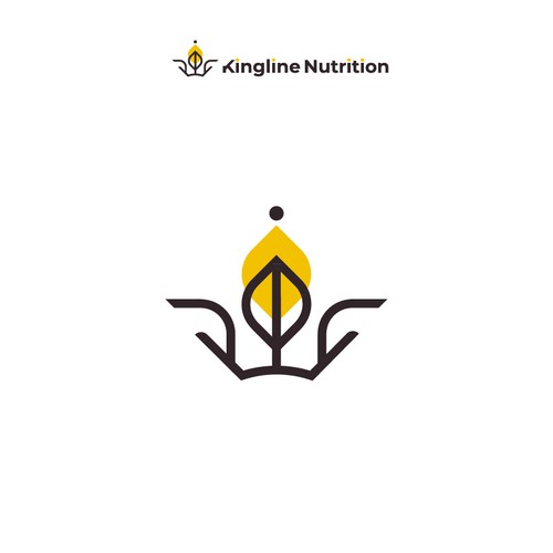 KN logo design