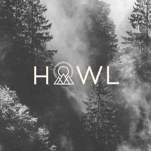 Create a clever and captivating logo for the photo company, HOWL Collective