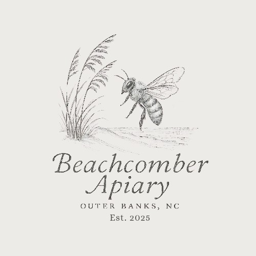 Beachcomber Apiary logo design 