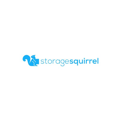 Storage Logo