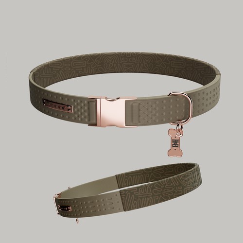 Dog Collar 3d Modelling & Design