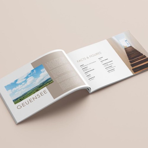 Real Estate Brochure
