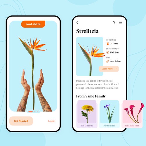 Rootshare • Plants App