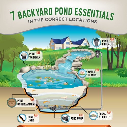 Create a Very Creative Image-based Infographic