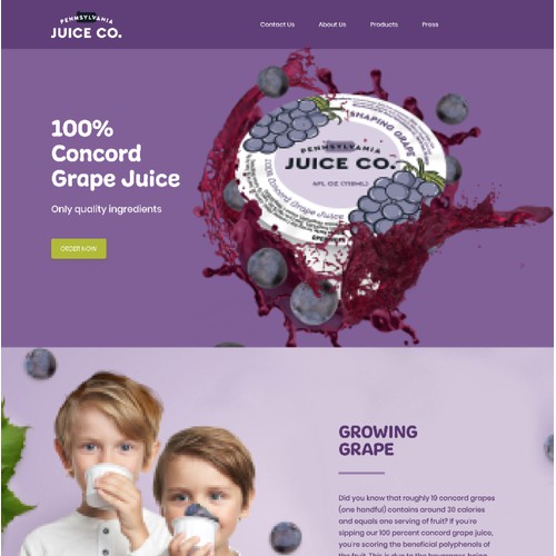 Juice Co Webdesign