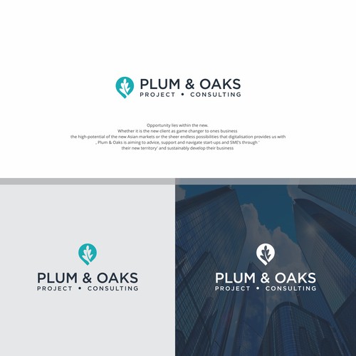 Plum & Oaks Project Consulting