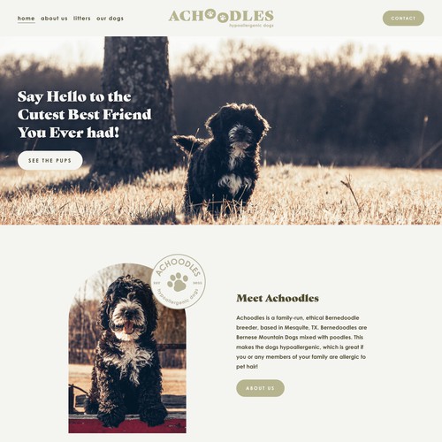 Fun Brand and Website for Ethical Dog Breeder