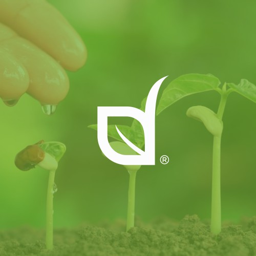 Seeds Company | AGL Seeds.