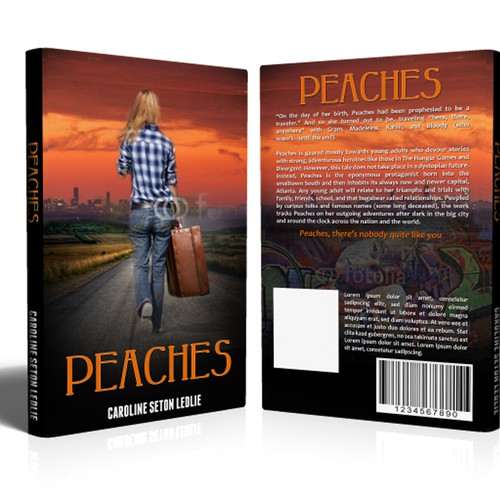 TRULY STRIKING (and warmly engaging) cover wanted for YA and older novel.