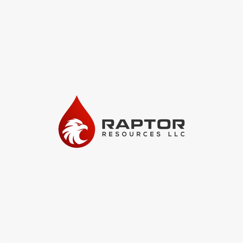 Logo design for 'Raptor Resources LLC'