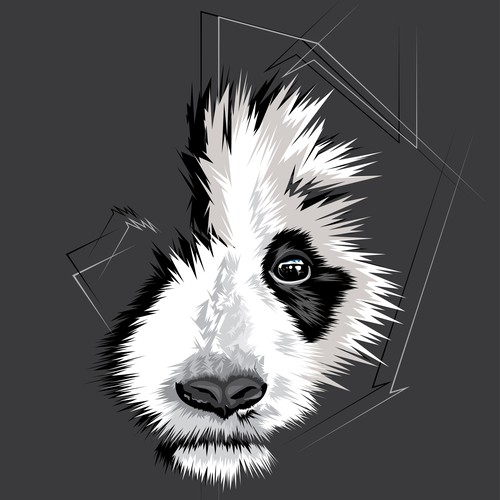 Panda Illustration