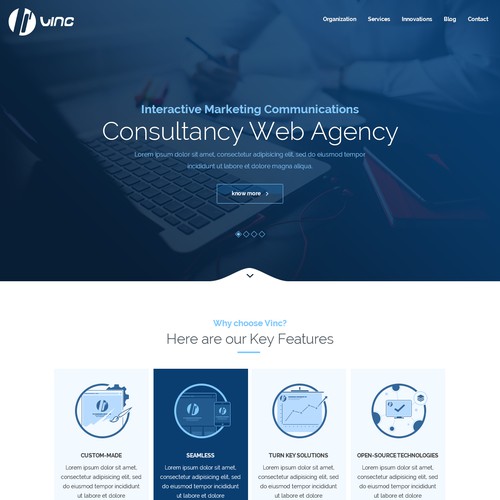 Consultancy Site for Vinc