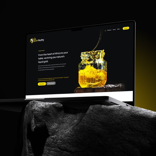 e-commerce design and development