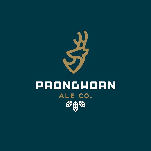 Pronghorn