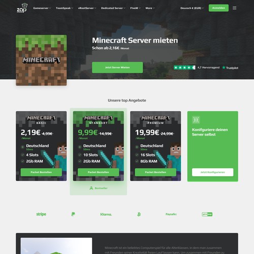 Edgy design concept for game-server rental service  