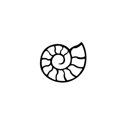  Ammonite logo