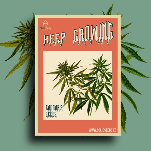 Cannabis Seeds advertisements