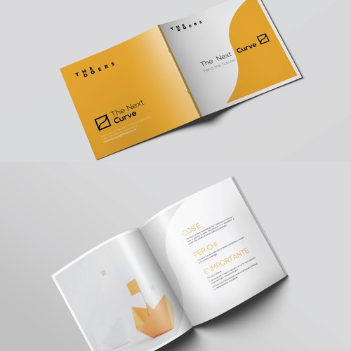Simple, minimalist, bold brochure design
