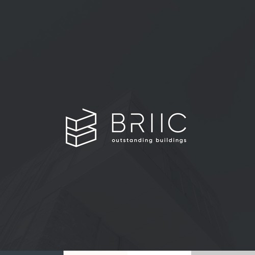 BRIIC Brand Identity Design