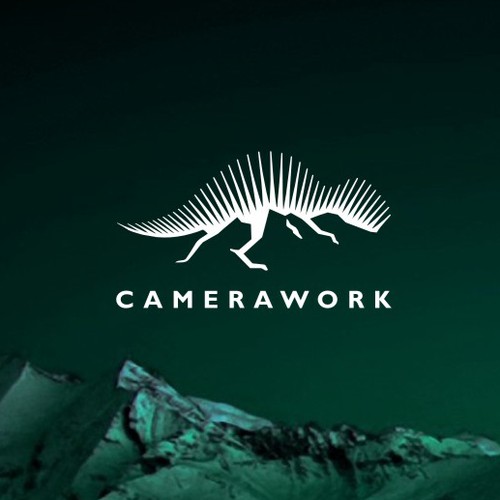 Logo for a cameraman who loves mountainous landscapes and who works in TV, movies and photographs.