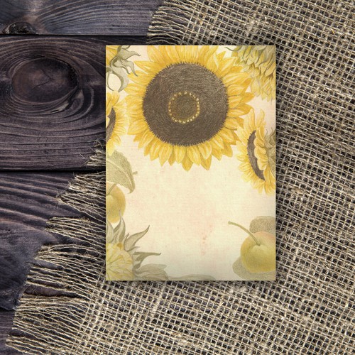 illustration for sunnflower  seed packaging