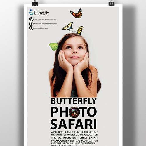 We need a fun and engaging poster for Butterfly Photo Safari!