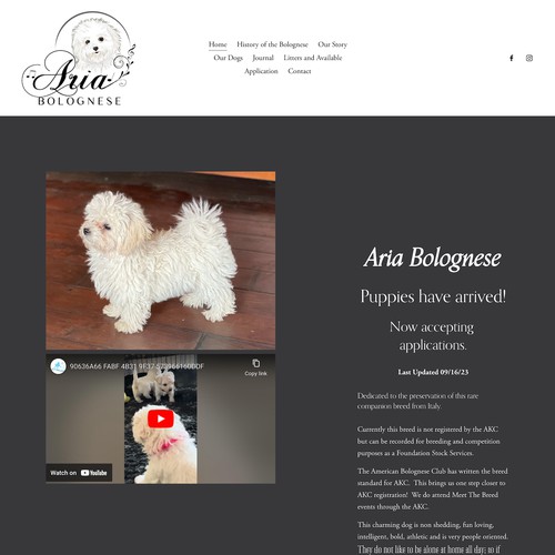 Aria Bolognese Design & SEO