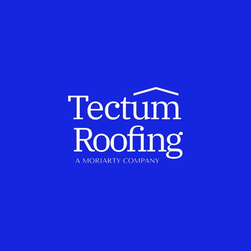 Tectum Roofing Logo Design (Unused)