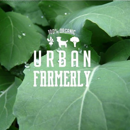 Urban farming with my dog